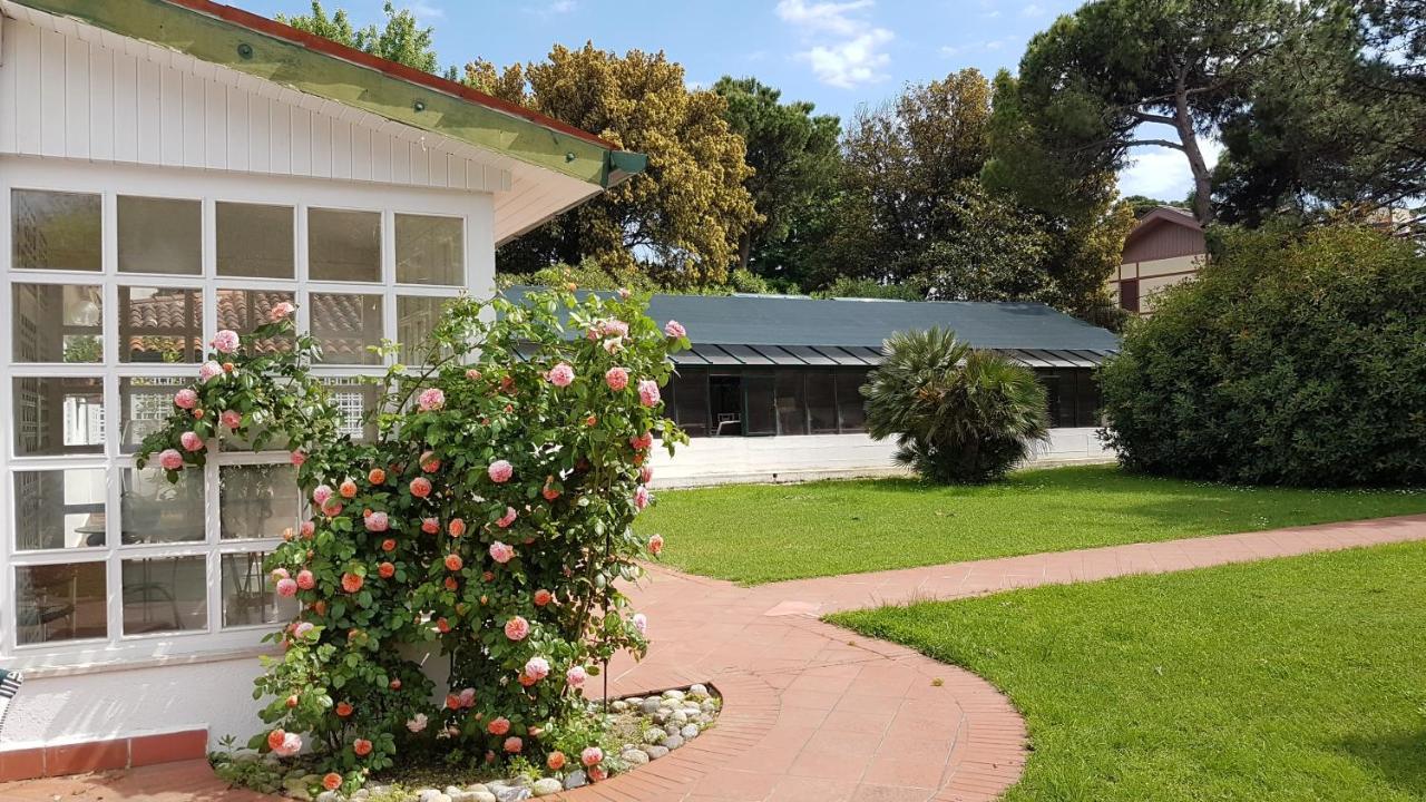 Le Serre Del Lido Λίντο της Βενετίας Εξωτερικό φωτογραφία